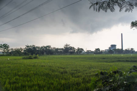 Black cloud over Cirebon coal power plants seen from Kanci village, Cirebon regency, West Java province on 24 January 2017. "Agriculture productivity gets lower and unemployments are everywhere since productive lands got evicted, the dust from the coal also give bad impact to the locals' health," said locals. Photo by Ardiles Rante for 350.org